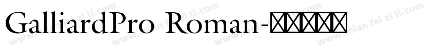 GalliardPro Roman字体转换